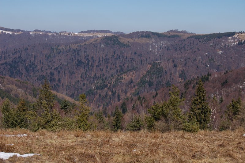 Výhľad z Kóty 1015 pri Okrúhlej. Vpravo vrch Čergov, v strede hrebeňové lúky pri sedle Chochuľka.