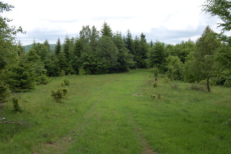 Kozí hrb