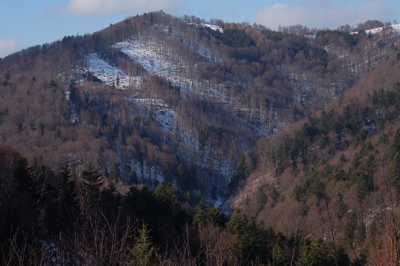 Hrašovík