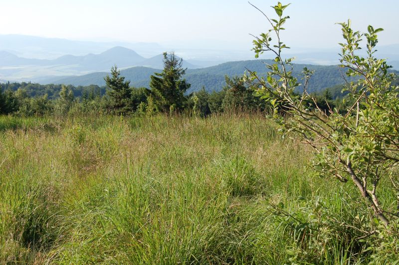 Pohľad z Čergova na Prešov