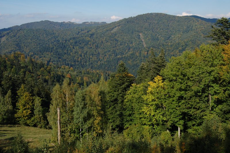 Palkova lúka, v pozadí vrch Škaredé