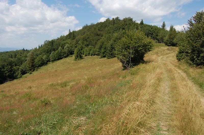 Kóta 1040 severozápadne od Minčola