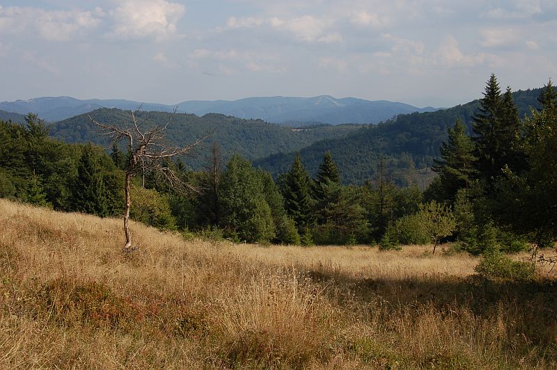 Pohľad z Lazov na Lysú