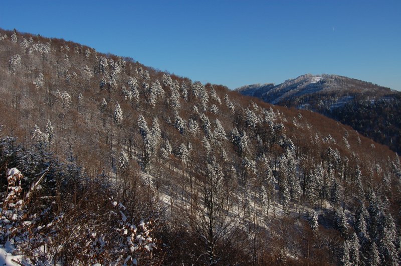 V pozadí vrch Škaredé