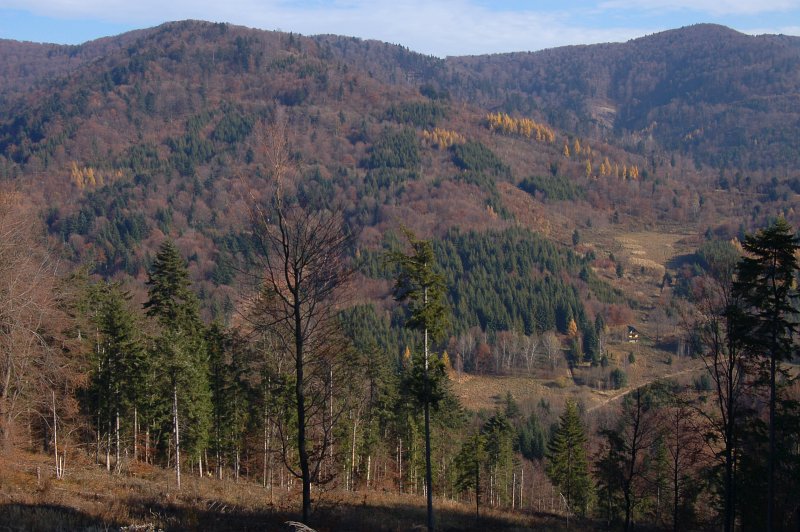 Hlinné