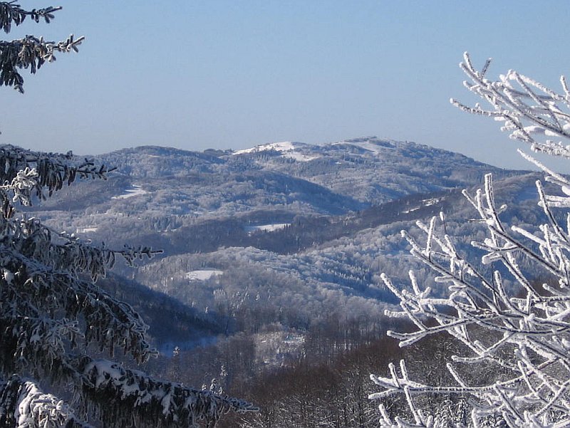 Minčol z Veľkej Javoriny