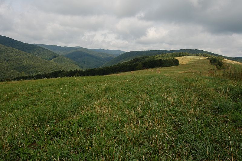 Pohľad na Čergov od Hradiska