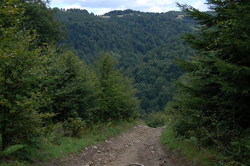 Výhľad zo severnej zvážnice Škaredého