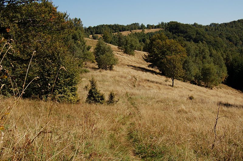 Výhľad k Solisku