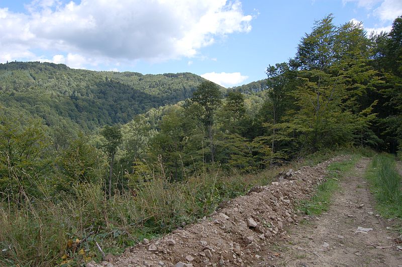 Križovatka zvážnic
