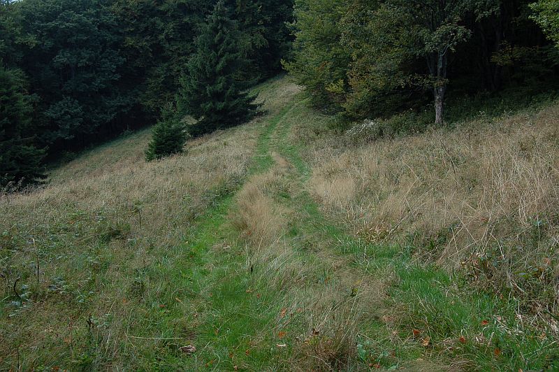 Horská lúka východne od kóty vrchu Hýrová