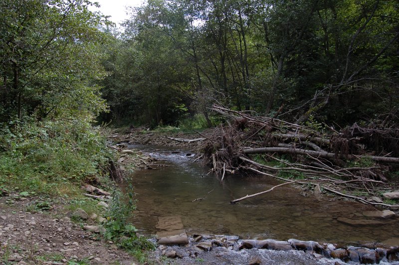 Ľutinka