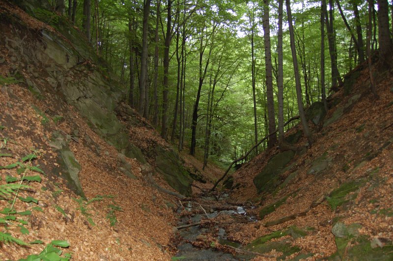 Tesná skala