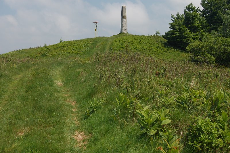 Minčol