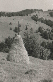 Čergovské vrcholové lúky