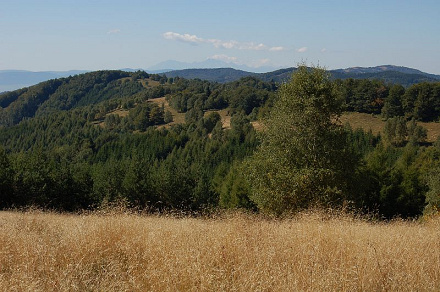 Geomorfologické pomery