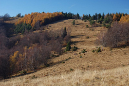 Veľká Javorina