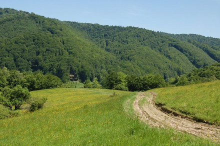 Kríže - Čierna jedlina - Livov