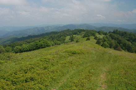 Čergovský Minčol