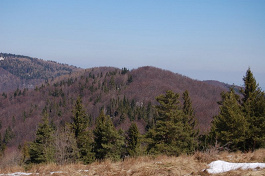Ostrý kameň