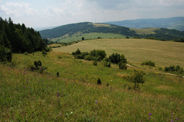 V pozadí vrch Michalka