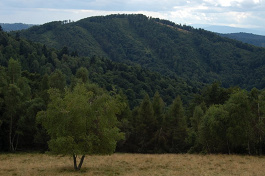 Škaredé zo severnej strany
