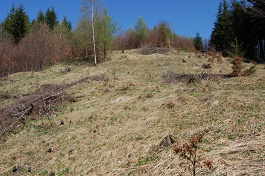 Kóta 1001.6 
