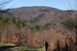 Minčol