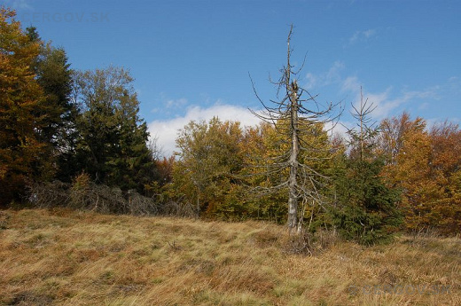 Dvoriská – 1057,3 m