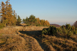 Kóta 1075
