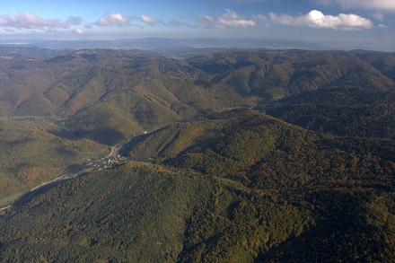 Čergov Forest Monitor