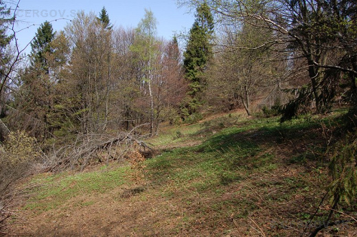 Ostrý kameň – 1001 m