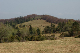 Kóta 1015