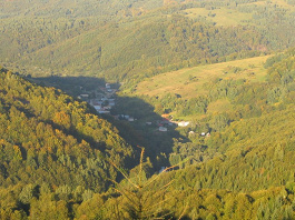 Livov