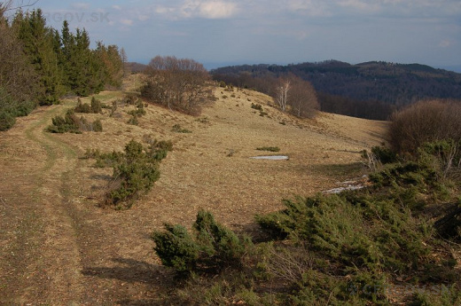 Veľká Javorina – 1098,7 m