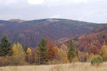 Čergov