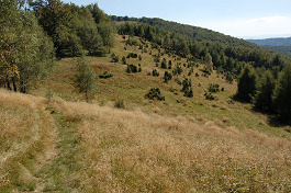 Sedlo Lysina