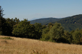 V pozadí Tatry
