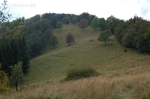 Hrašovík – 1009,1 m