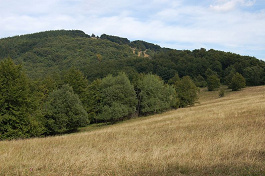 Dvoriská