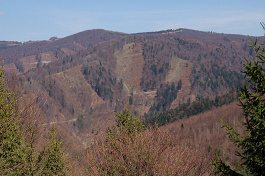 Veľká Javorina