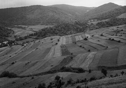 Fotografie z archívu ŠOP SR - RCOP Prešov