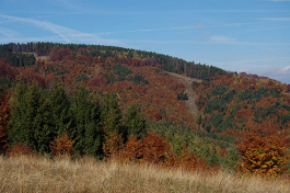 Vľavo kóta 1029