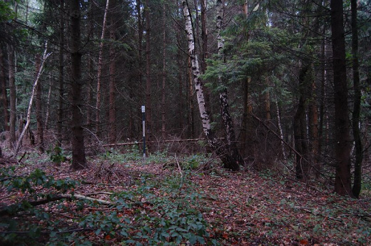 Kóta – 1017 m