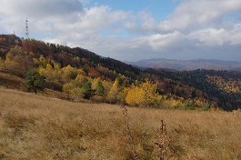 Lysá