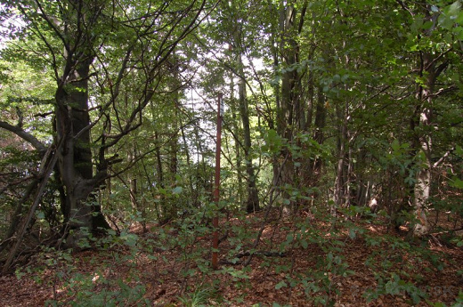 Dlhá – 1006,6 m