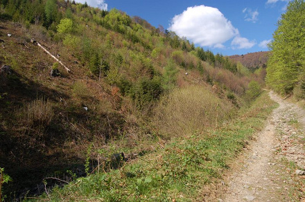 Potoky - chata pod Minčolom - Lazy - Minčol