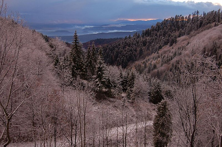 Klimatické pomery