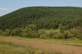 Hrnčiarka