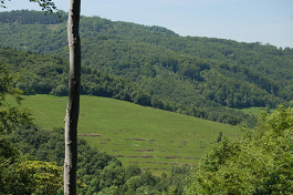 Lúky nad obcou Kríže